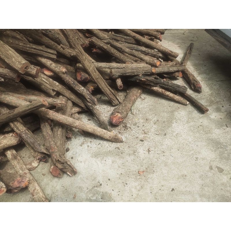 

Paket 1 Kg Kayu SECANG Asli Alami