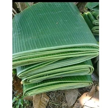 

Daun pisang segar