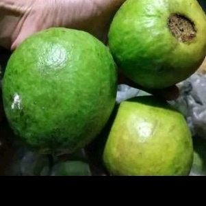 

jambu 1kg