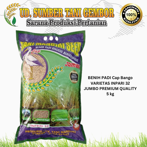 BENIH PADI Cap Bango VARIETAS INPARI 32 JUMBO PREMIUM QUALITY