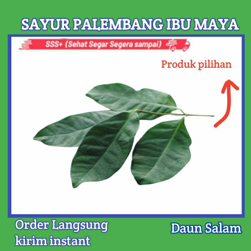 

Daun Salam per Ikat - Sayur Sayuran Segar Online Palembang