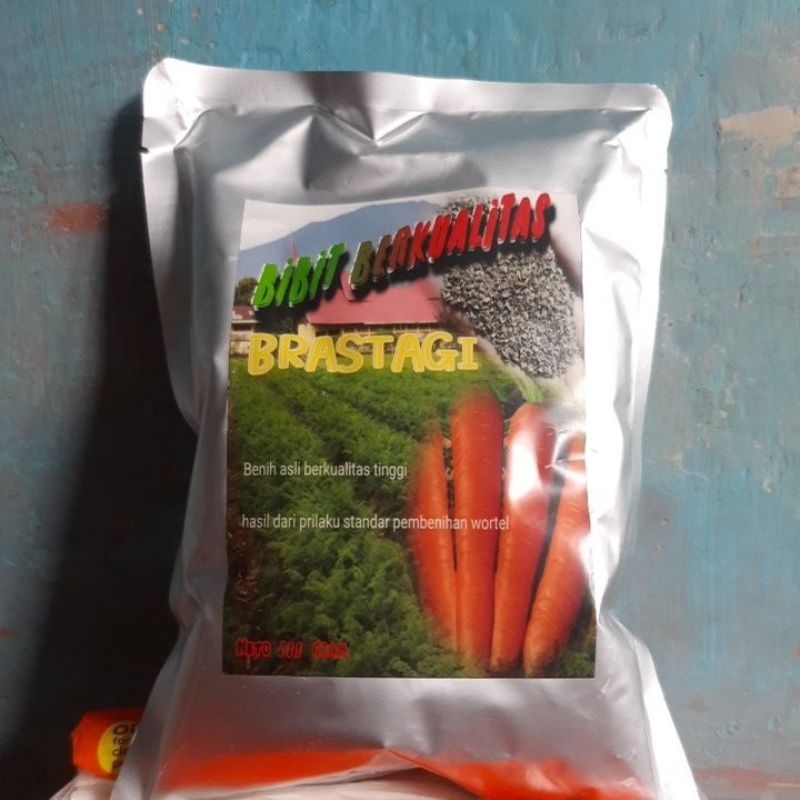bibit wortel