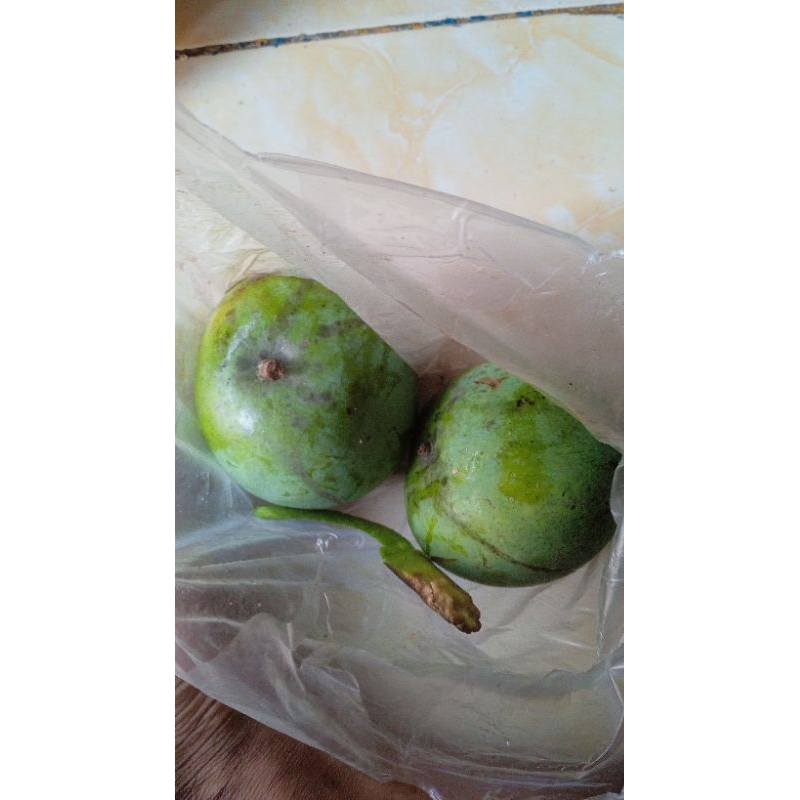 

manggo