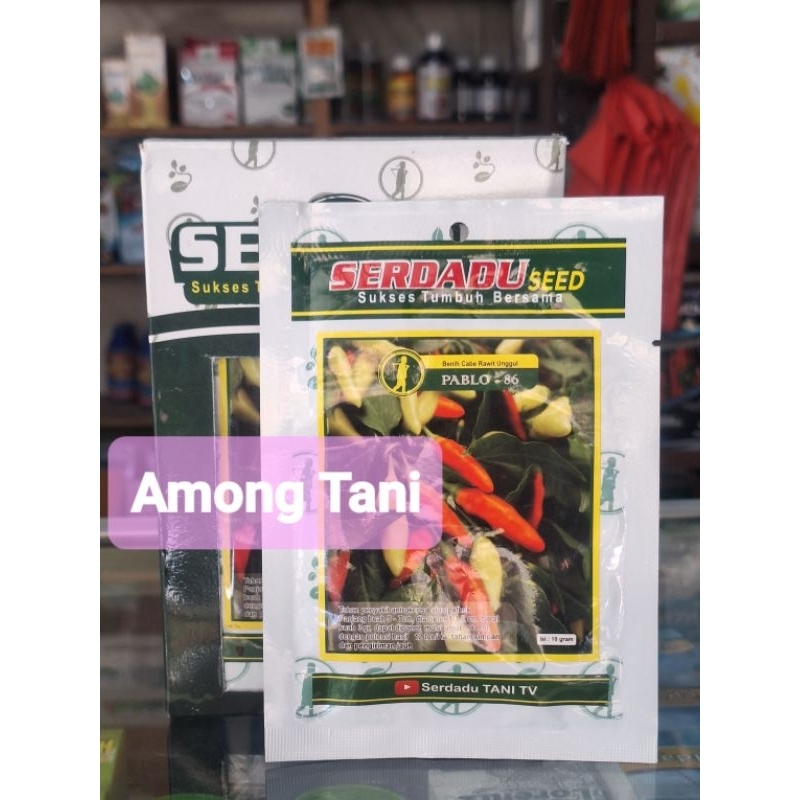 benih cabai rawit Pablo - 86 Serdadu Seed