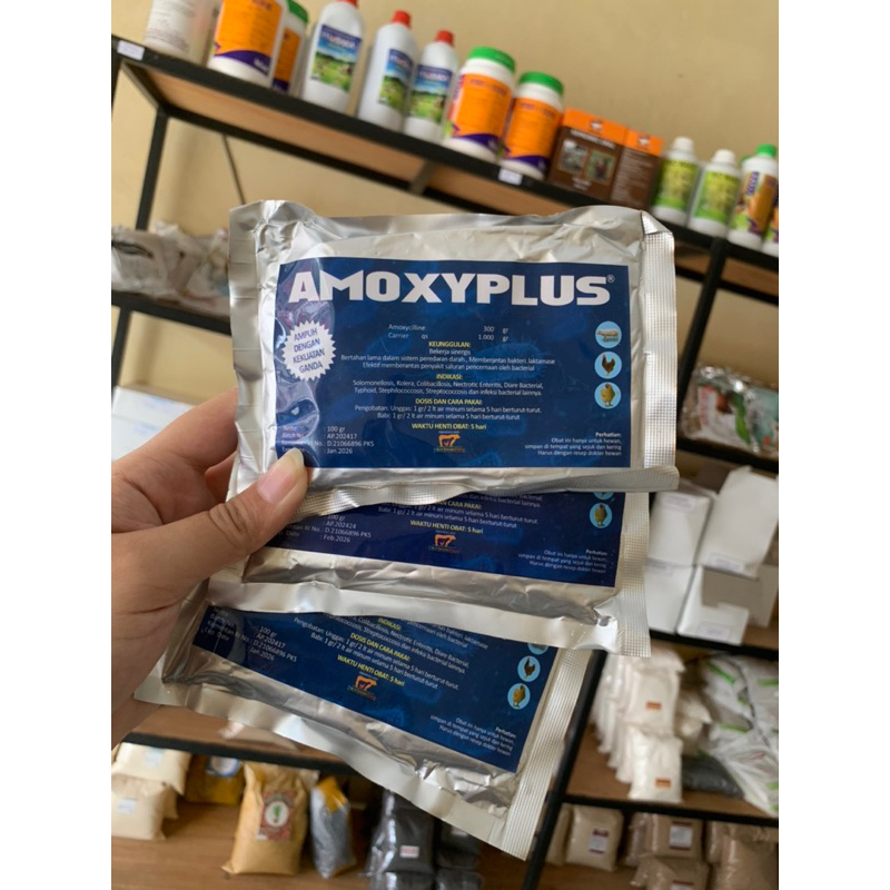 Amoxy plus 100gr antibiotik untuk ternak ayam, bebek, babi