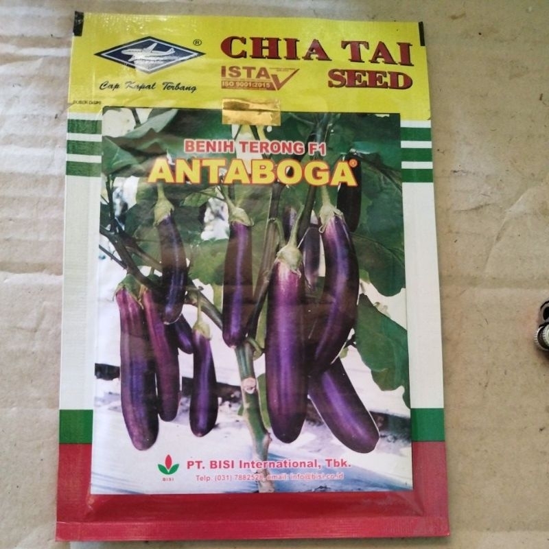 Benih Terong Antaboga F1