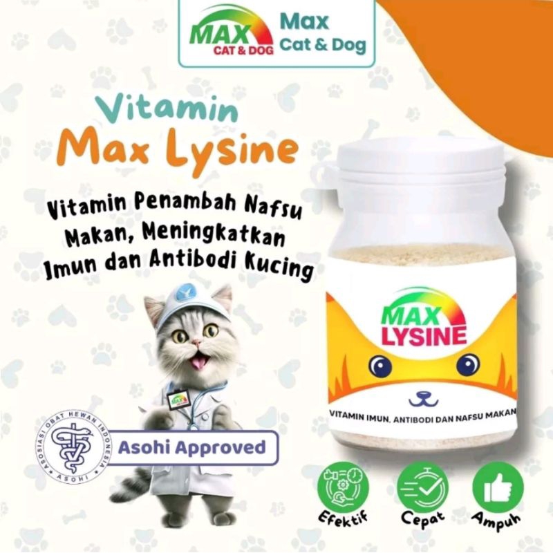 Max Lysine Vitamin Kucing PawLysine Lisin