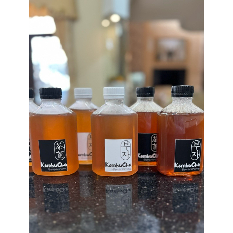 

Kombucha Prebiotic Tea
