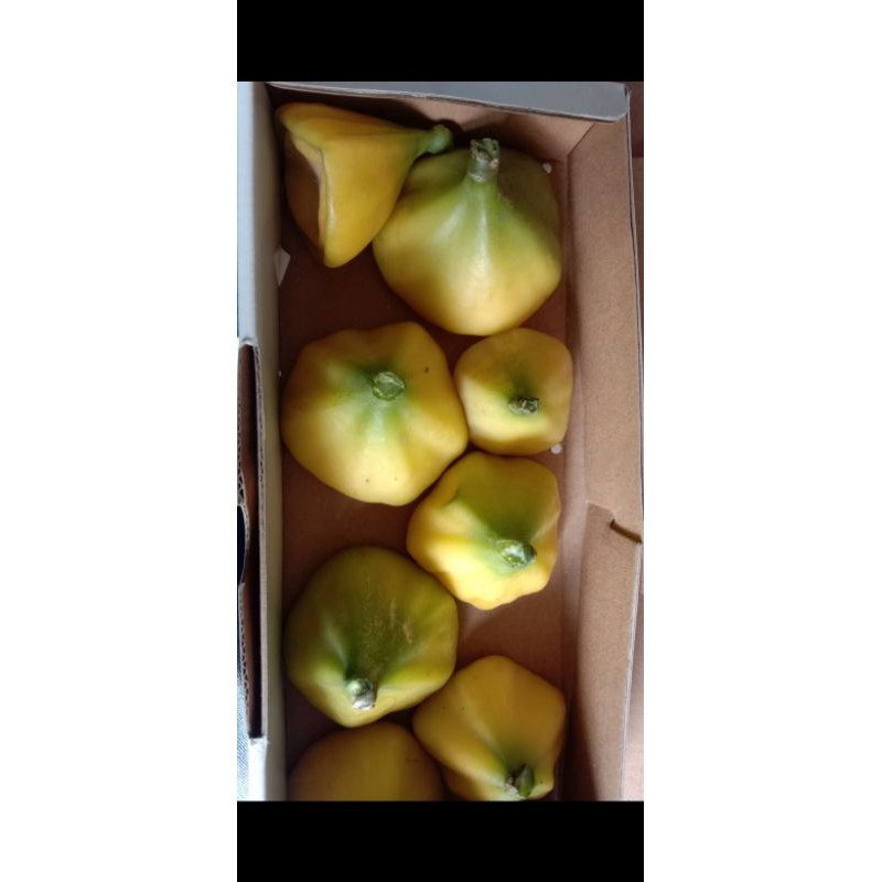 buah tujuh bintang atau tujuh jarum per buah