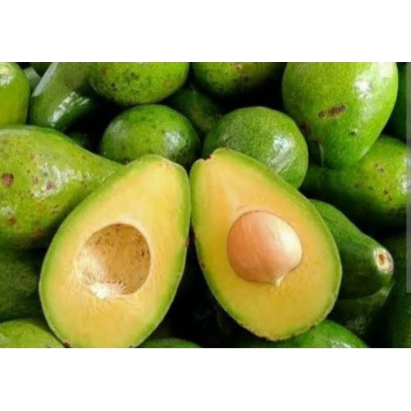 

Alpukat mentega _1kg