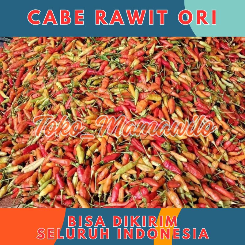 

Cabai Rawit Merah Cabe Segar Fresh Lombok Kiloan Murah 1/4 kg 250gr 250 gr gram - Aneka Bumbu Dapur Sayur Sayuran