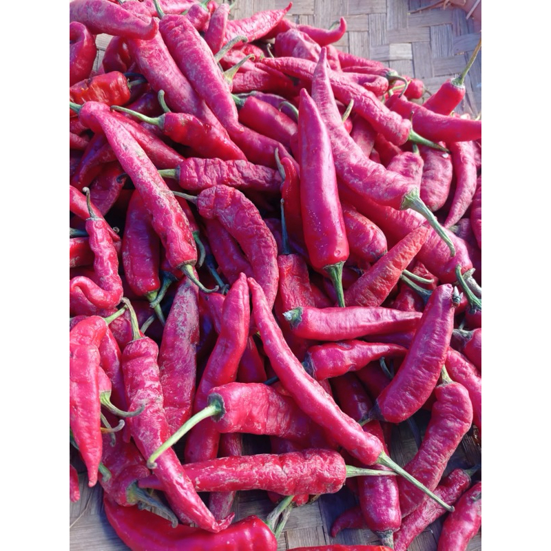 

cabe merah gepeng tanjung