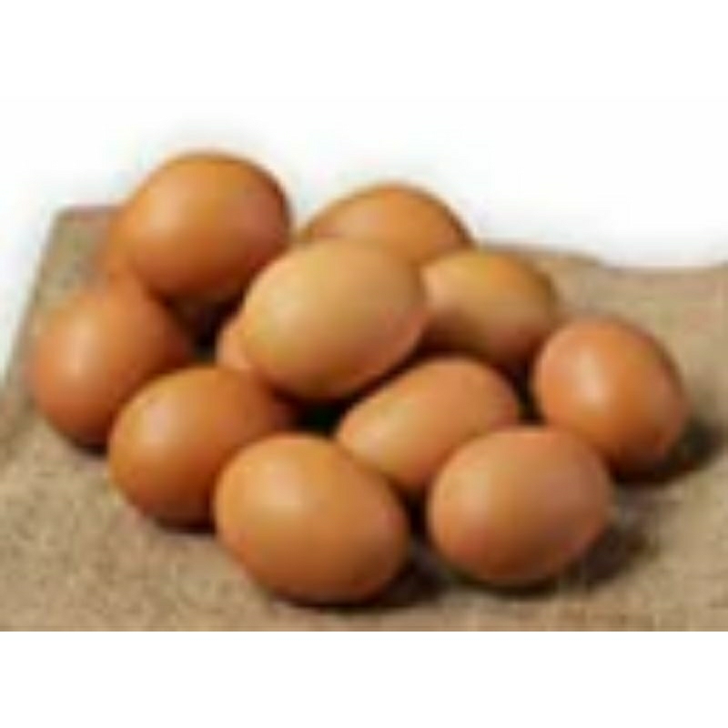 

telor 1kg