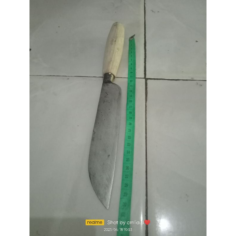 pisau pemotong daging & buah ukuran besar