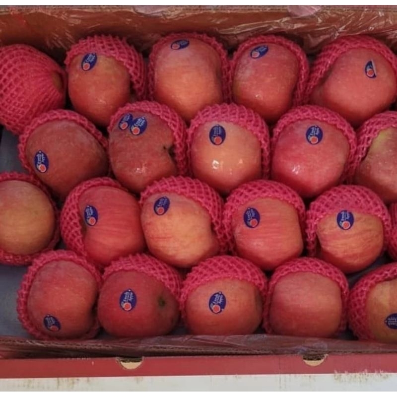 

FRESH APEL FUJI MERAH Reguler 1Kg