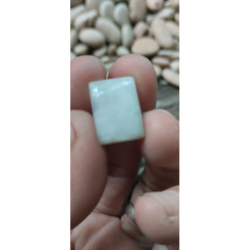 Natural Biduri Bulan