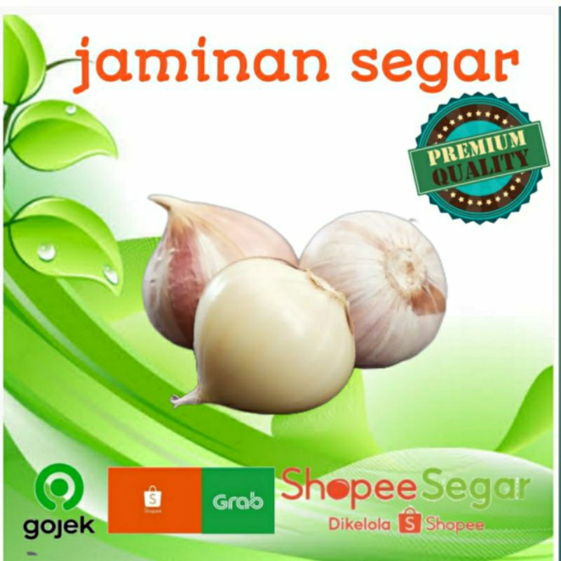 

bawang tunggal/lanang