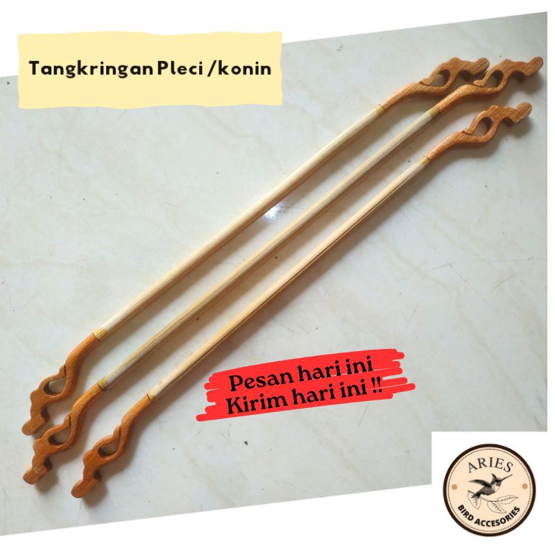 Tangkringan pleci konin kolibri