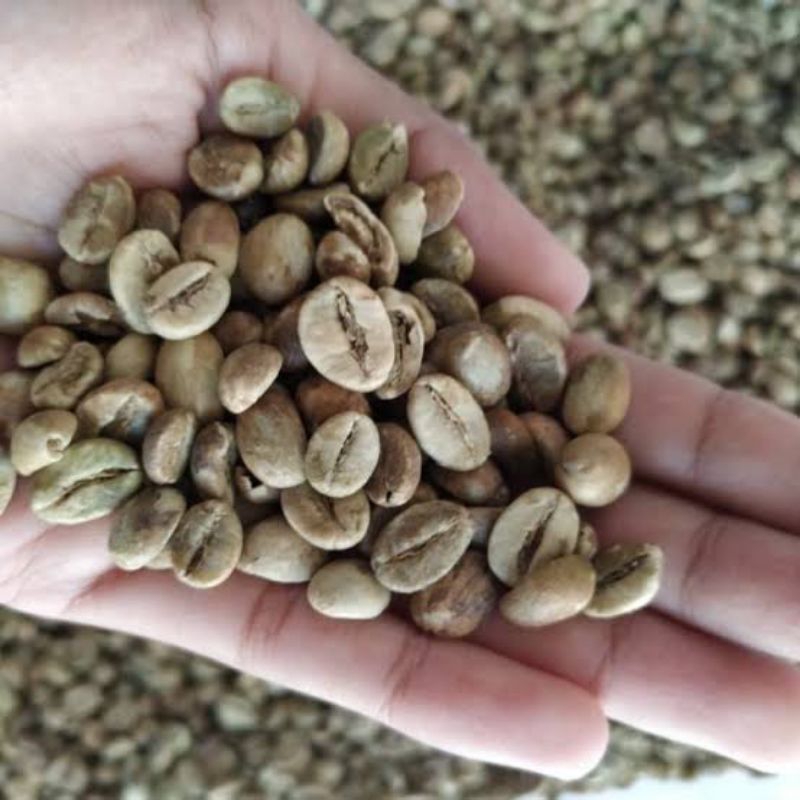 

Biji Kopi mentah ukuran 500 gram biji kopi murni