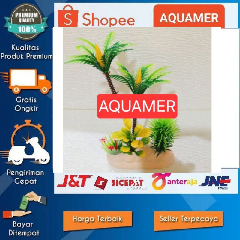 Hiasan akuarium kelapa double tanaman hiasan akuarium kelapa
