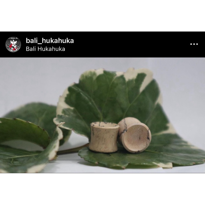 PLUG KAYU, TINDIK TELINGA, PIERCING KAYU, PLUG, ANTING ANTING, SICE 4-22mm PRODUK DI JUAL PER PCS