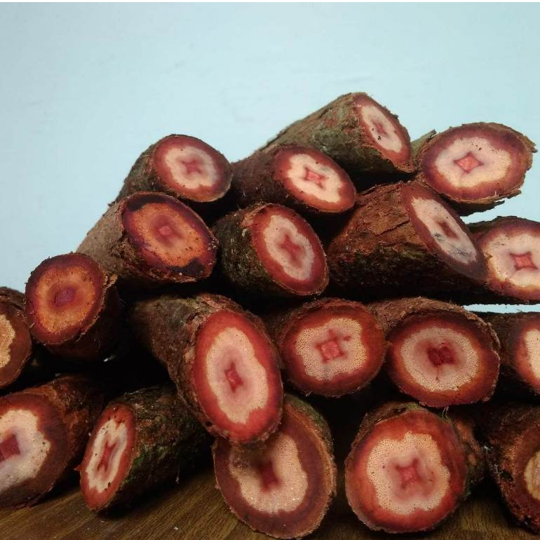 

Akar Kayu Bajakah kering siap seduh (100% ORIGINAL)