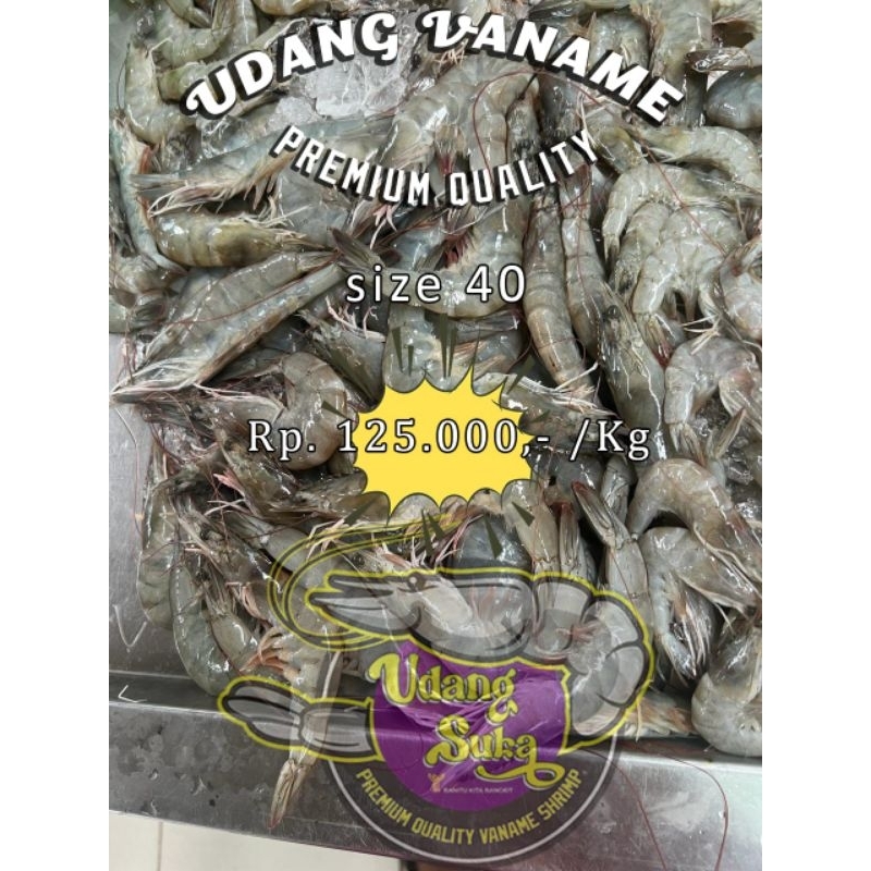 

Udang Vaname Ukuran Medium 40 /Kg | Premium Quality | Udang Suka™