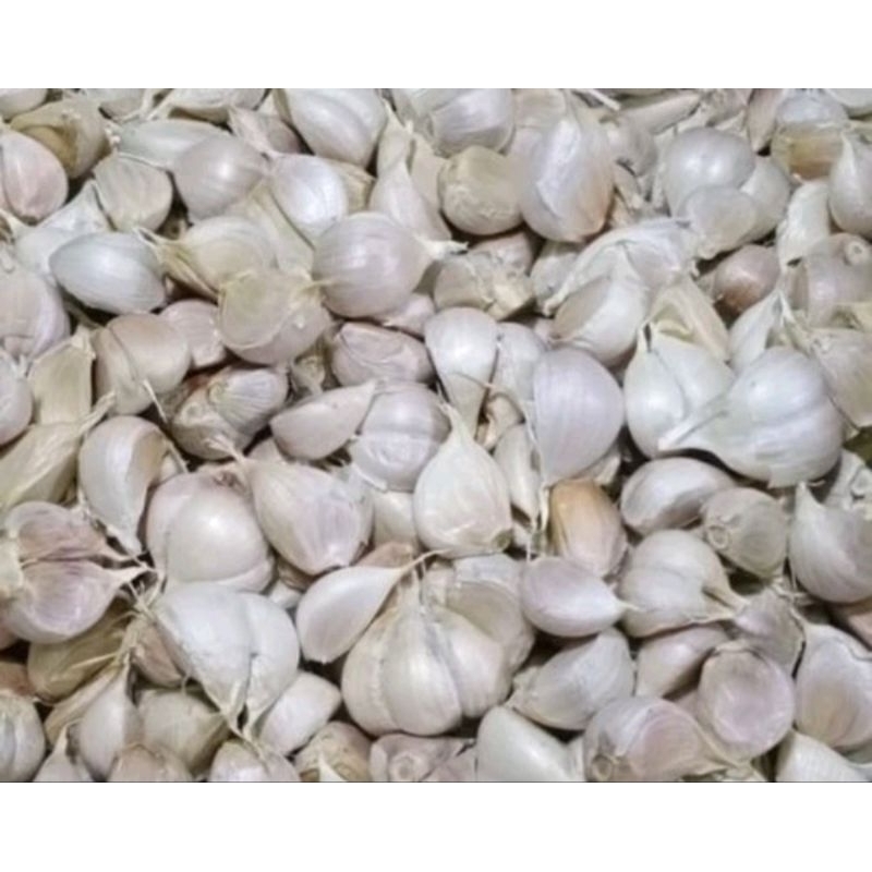 

Bawang Putih 500gram