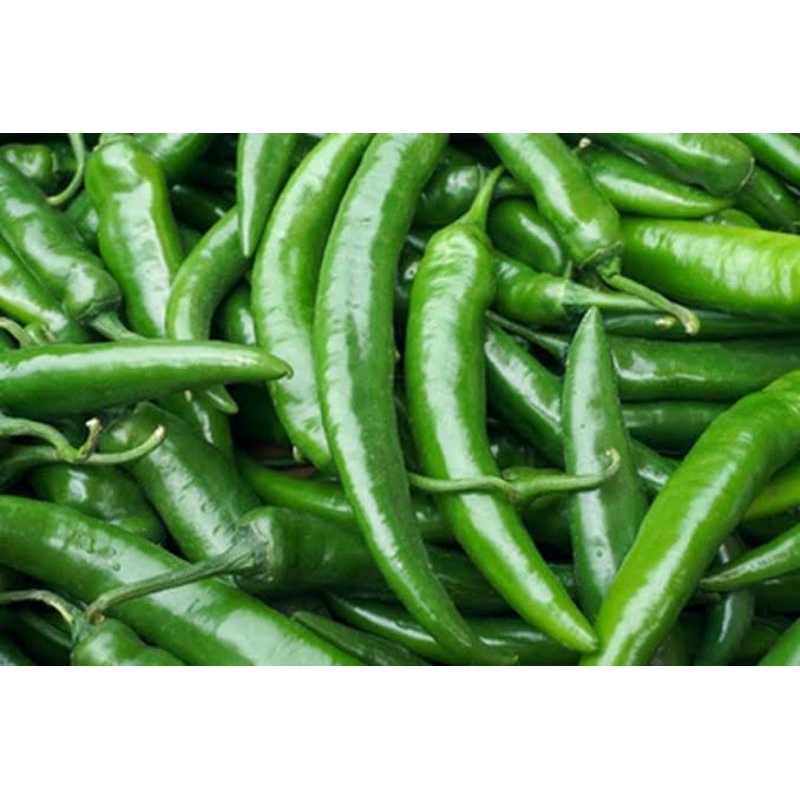 

Cabai Hijau Besar Fresh Murah 1kg/500gram/250gram