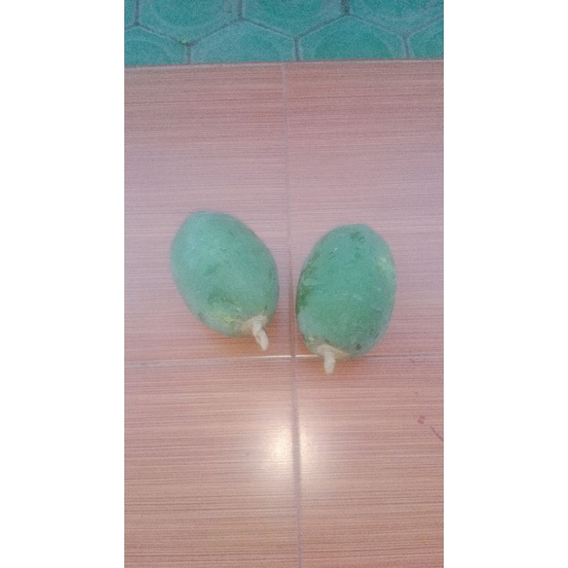 

pepaya muda untuk sayur