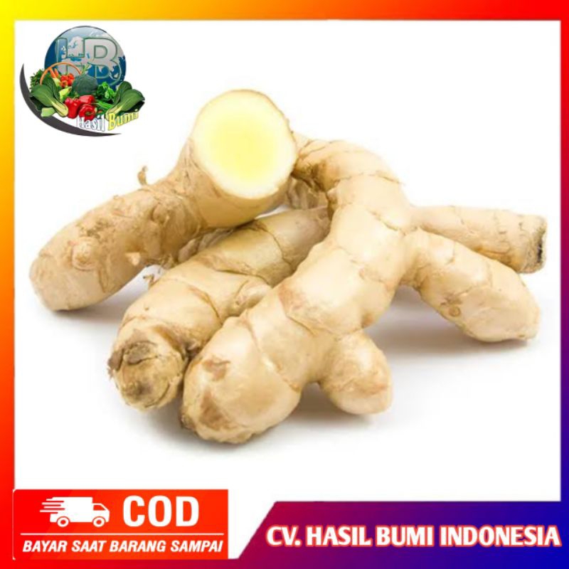 

Kunyit putih / temu putih asli segar 1kg