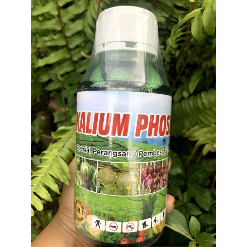 kalium Phospat 500 ml Pembesar umbi