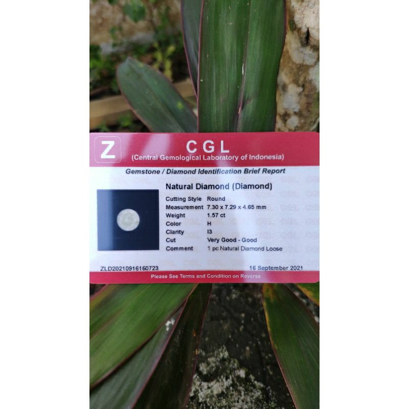 Natural berlian eropa berlian asli 100% lepasan berlian eropa putih berlian murah