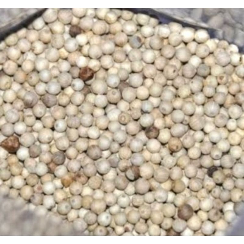 

Biji Lada putih 100 gr.