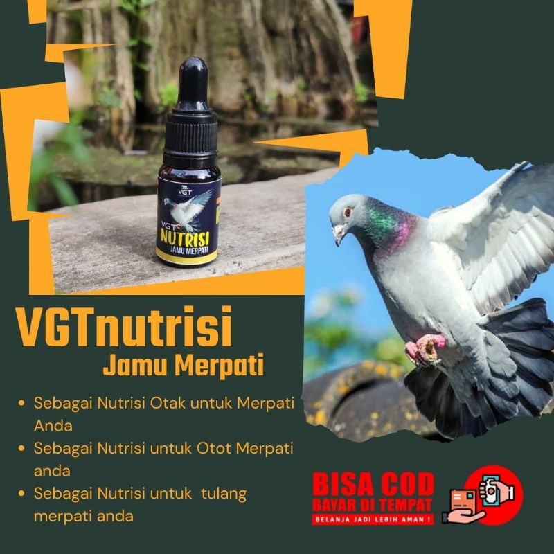 VGT NUTRISI JAMU MERPATI VITAMIN MERPATI KOLONG DAN BALAP DOPING MERPATI