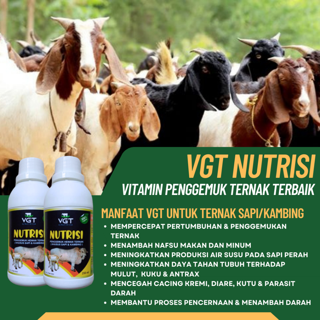 VGT NUTRISI KAMBING PENGGEMUK KAMBING MENAMBAH NAFSU MAKAN KAMBING DOMBA