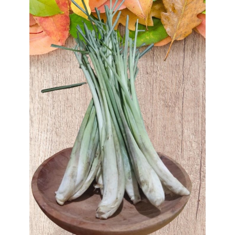 

SERAI/SEREH (FRESH) 1KG