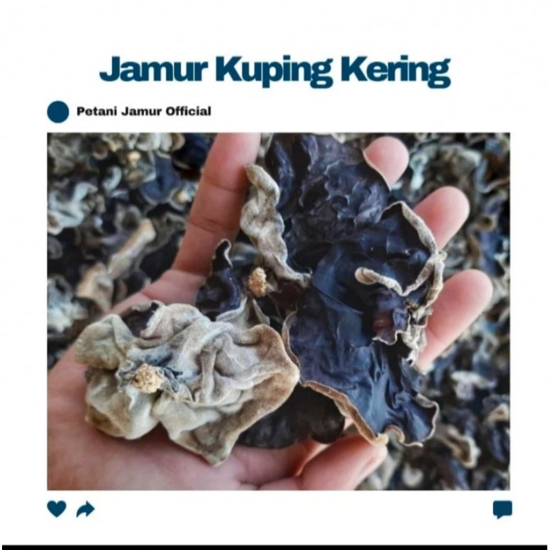 

JAMUR KUPING KERING KWALITAS GRADE A 100gram