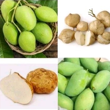 

MANGGA MUDA RUJAK + BENGKOANG 1KG