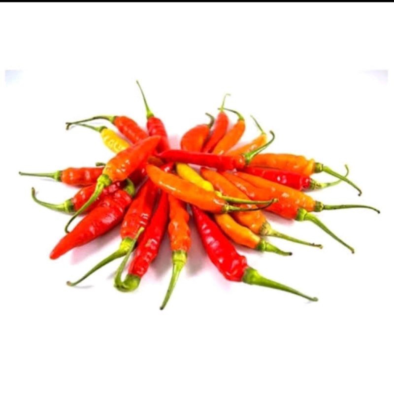 

cabe rawit mereh 100gram