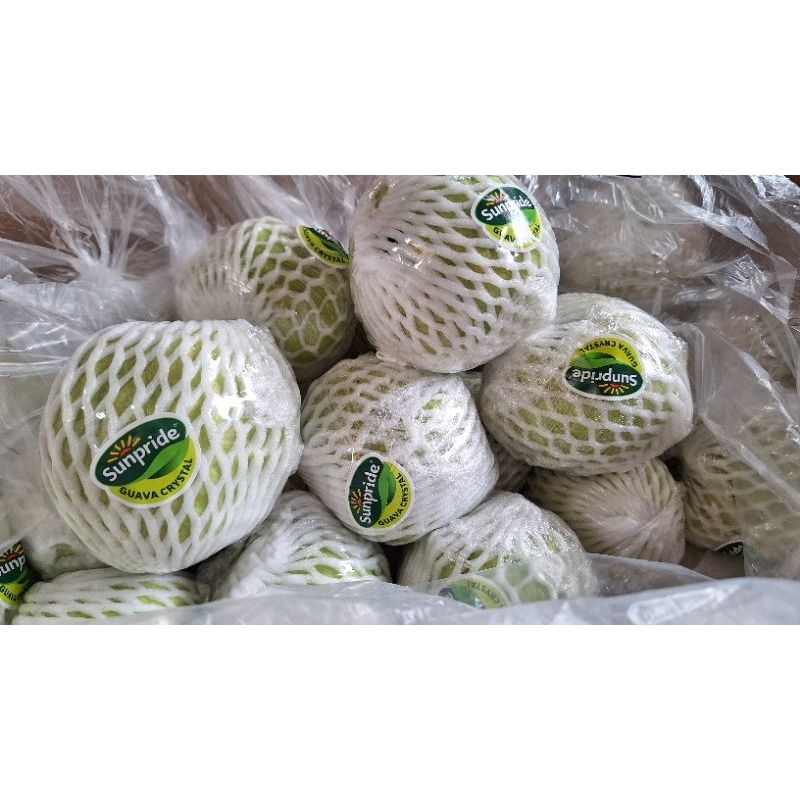 

jambu kristal sunpride perkilo