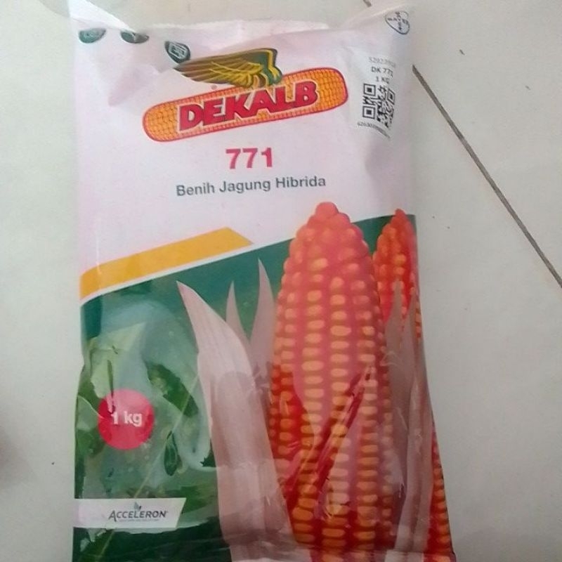 Benih Jagung Genjah Dekalb DK 771 - 1 KG kemasan pabrik
