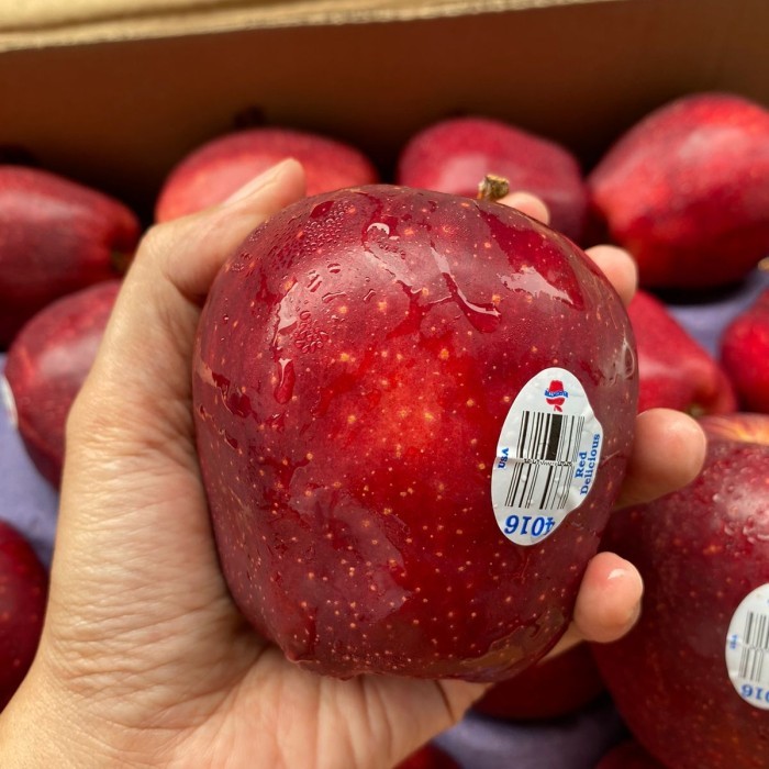 

Apel Merah 500gram Fresh