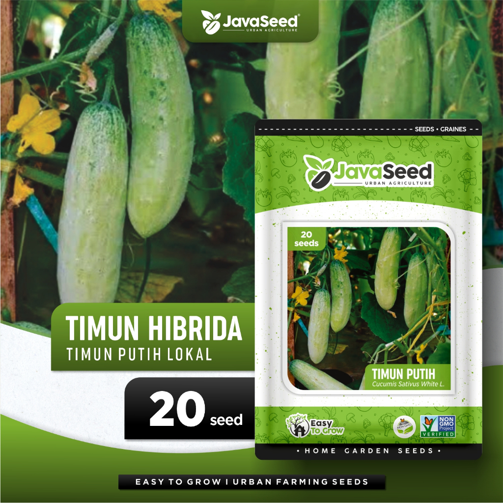 JAVASEED - Benih Timun Mentimun Lalap Putih Lokal White Shoot 20 Benih
