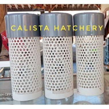 Termurah Pipa Kolam Saringan Kolam Paralon 2Inch Panjang 15Cm Bor 4Mm + Tutup