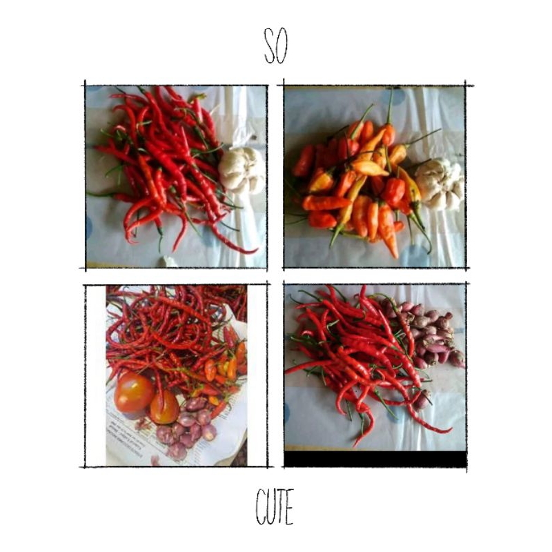 

cabe rawit campur bawang,cabe keriting campur bawang,sambalan