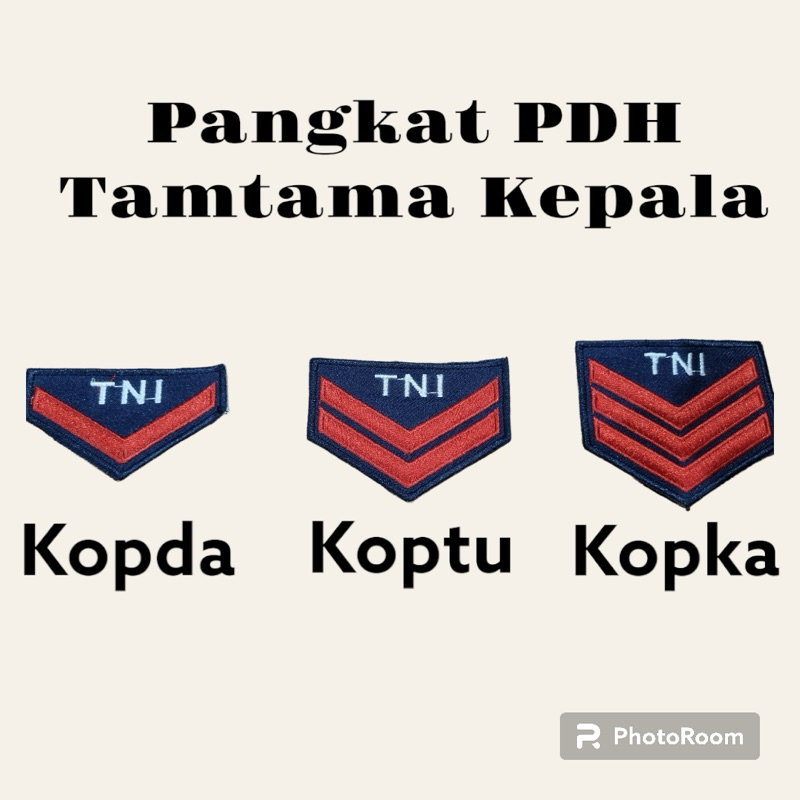 pangkat pdh tamtama kepala tni au