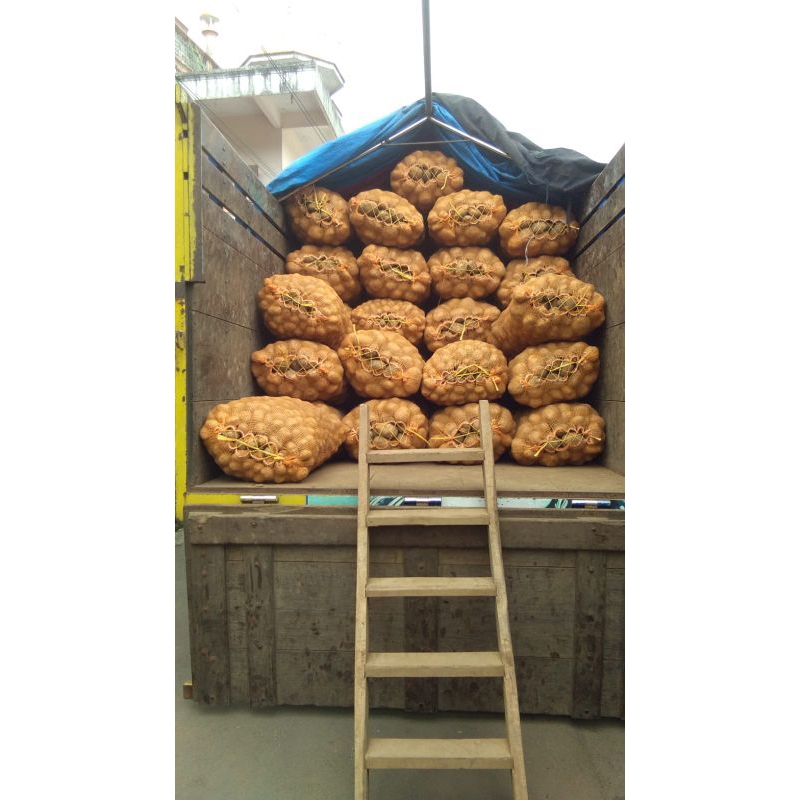 

kentang asli dieng orderan 50kg