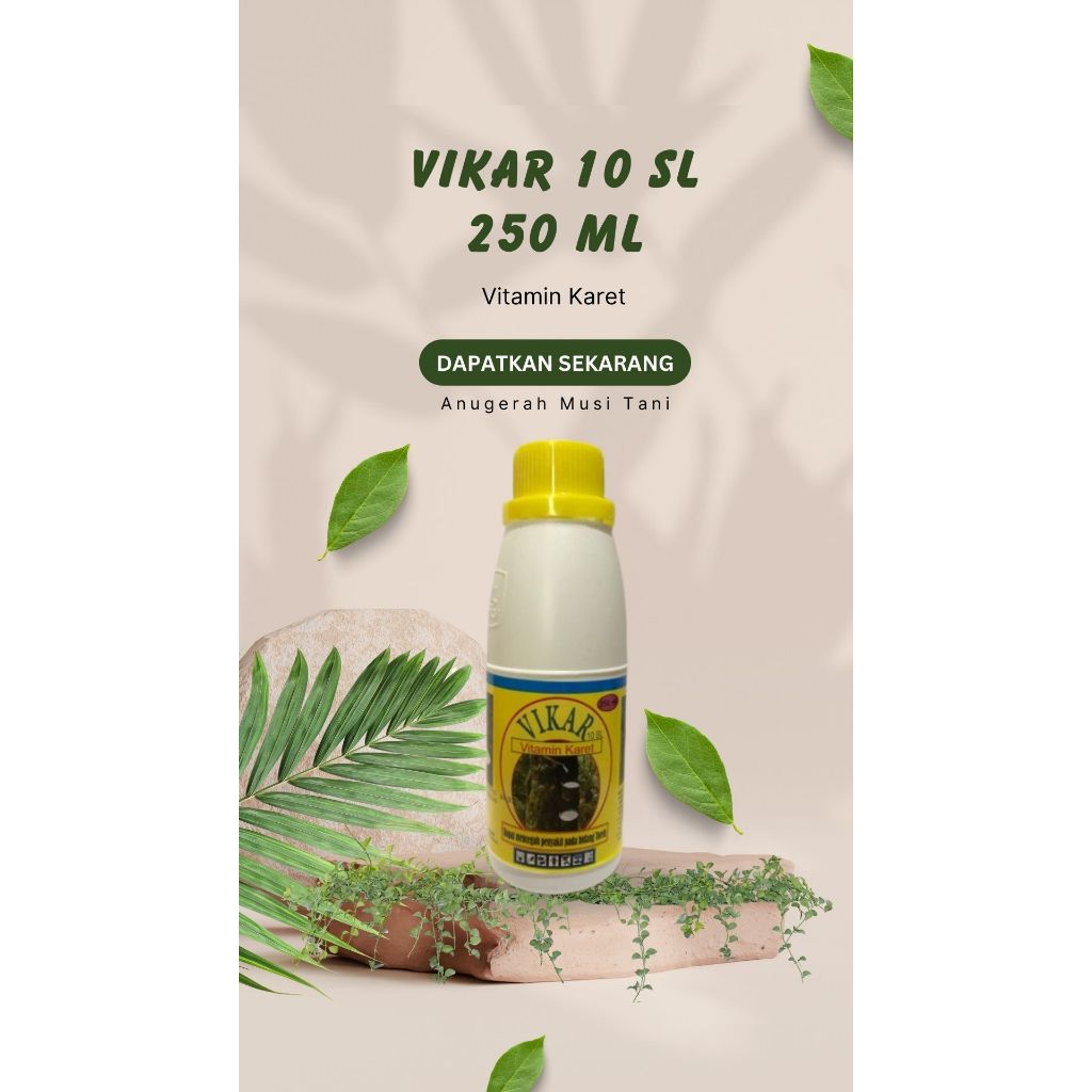 Vikar Vitamin Karet (10 SL)