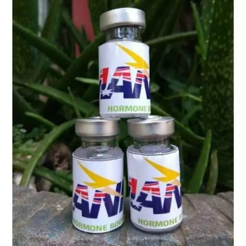 MANNA HORMONE BOOSTER mana hormon standart extreme